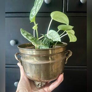 Vintage Solid Brass Footed Cauldron | Planter Catchall Dark Academia Old World